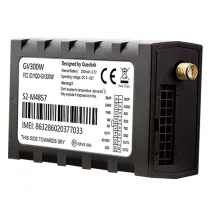 GV300W