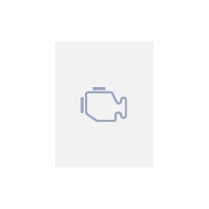 CAN Bus (OBD) 4G